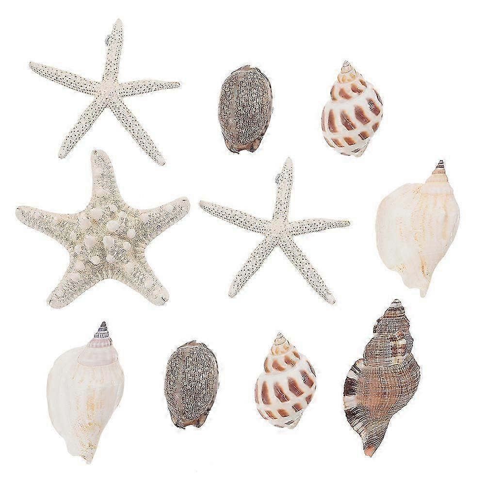 10pcs Seashell Shape Refrigerator Magnet Sticker 3D Ocean Theme Fridge Magnets (Random Style)