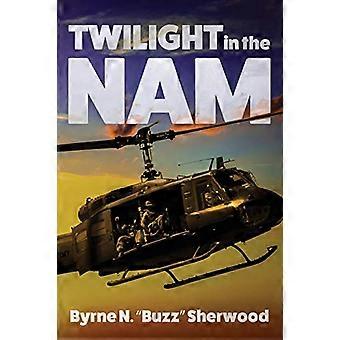 Twilight in the 'Nam: 196. kevyen jalkaväkiprikaatin kanssa