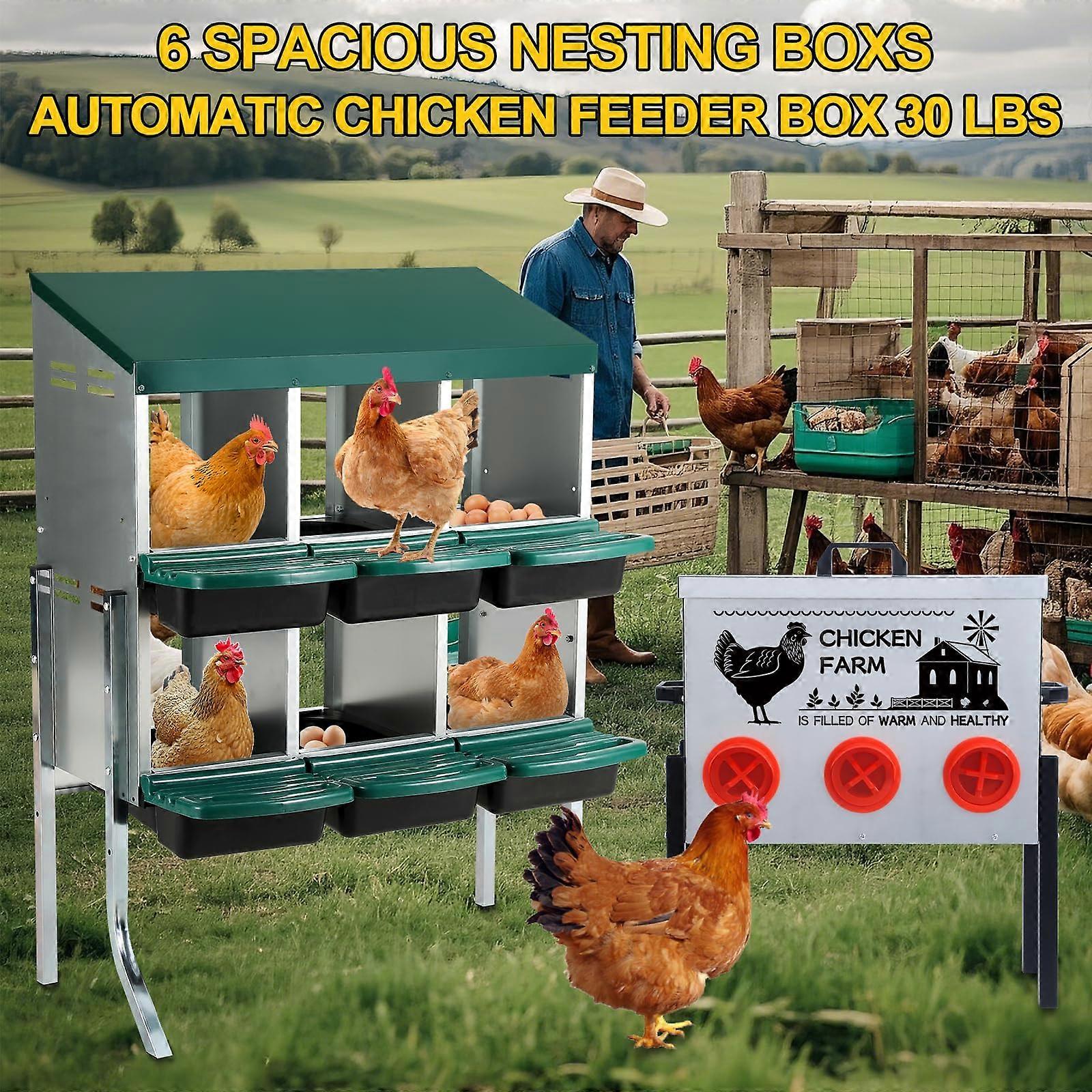 Automatic Chicken Feeder with SixHole TwoTier Nesting Box for Easy Egg Collection