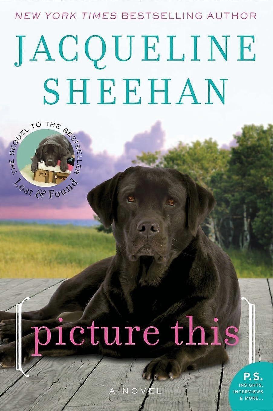 Picture this a novel