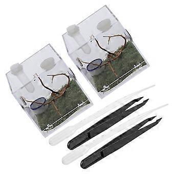 2 Sätze Springspinnen-Gehegekasten Spinnen-Habitat-Box Acryl-Insekten-Fütterungskoffer mit Werkzeugen