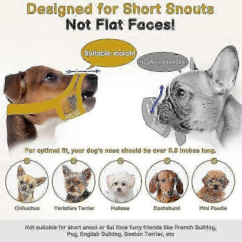 dog muzzle for small breeds anti biting