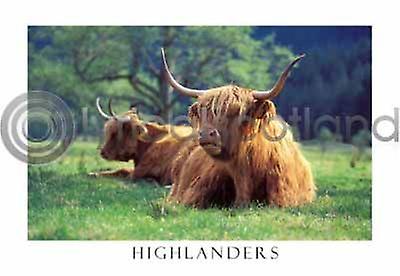 Highlanders in Glen Nevis Postcard by Lyrical Scotland