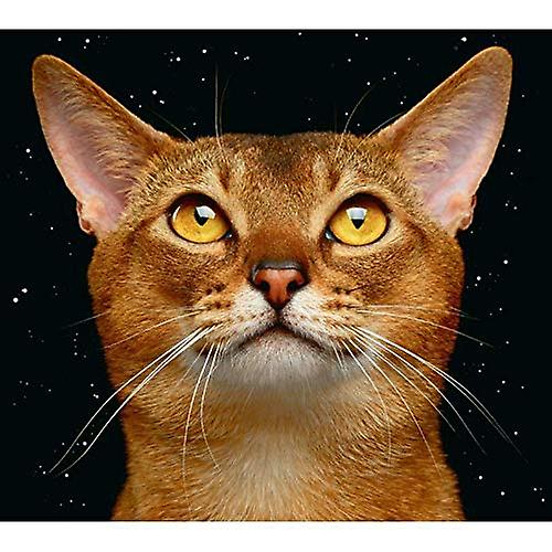 Simon & The Astronauts - Simon & The Astronauts [CD]