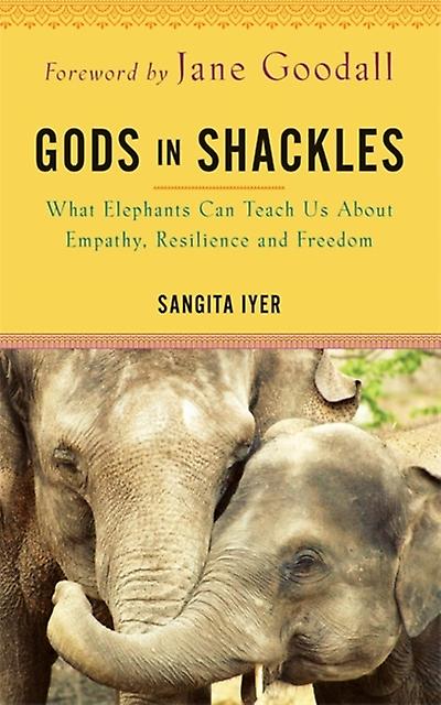 Gods In Shackles by Sangita Iyer Paperback