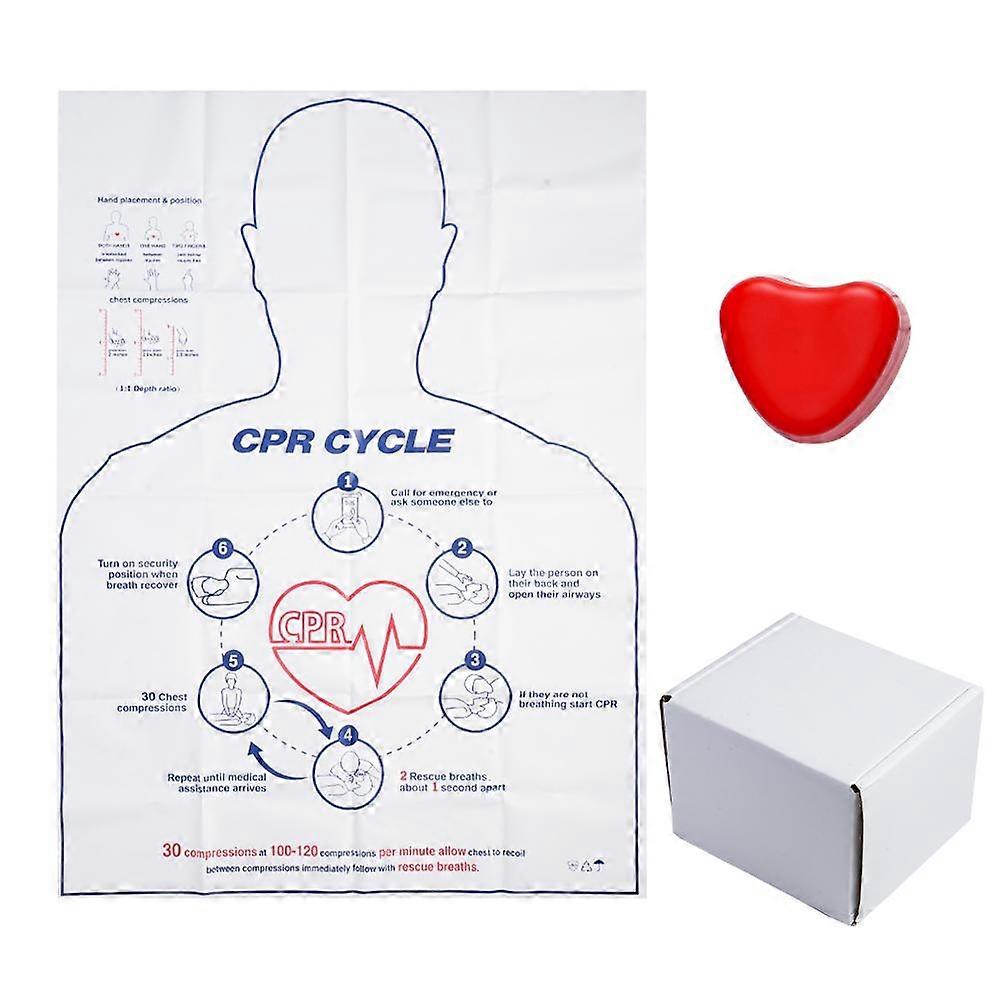 CPR Training Mannequin Realistic Cardiac Pulmonary Resuscitation Practice Model for First Aid Medical Teaching