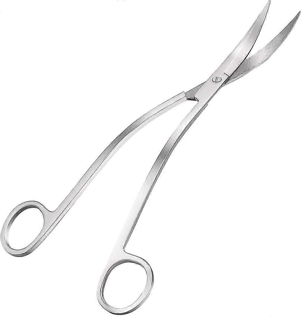 Aquarium Scissors With Curved Head For Aquatic Plants 24cm