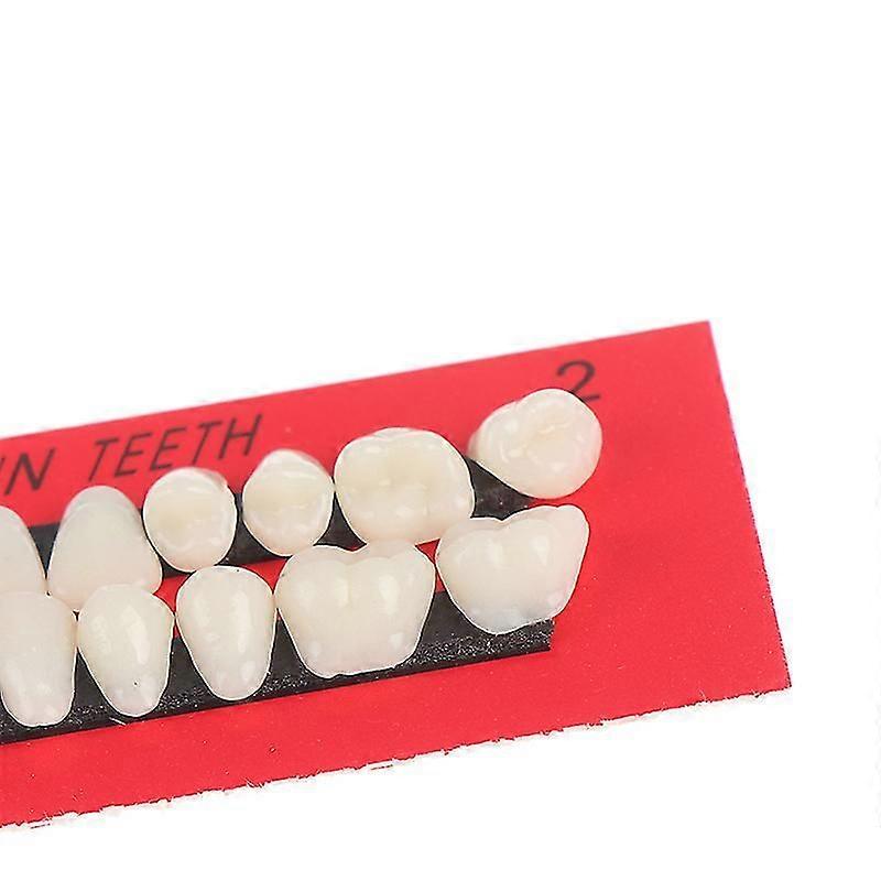 28pc Acrylic Resin Teeth Denture Upper Lower Shade 23# A2 Dental