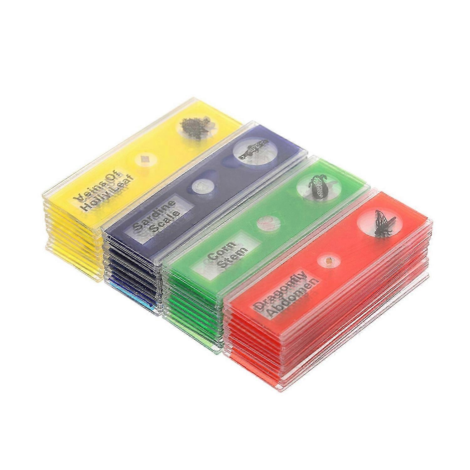 48pcs/set Plastic Prepared Microscope Slides Animals Insects Plants Sample Specimens Slides Set with Color Labels for Kids Students