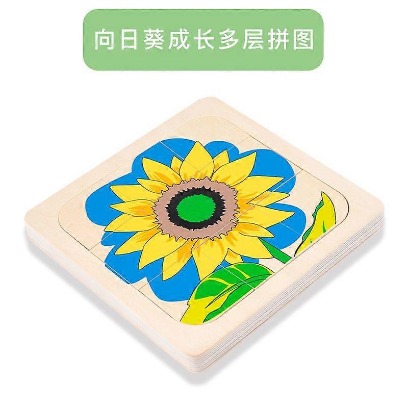 Multi-Layer Wooden Puzzle for Kids, Early Education Cognitive Toy
