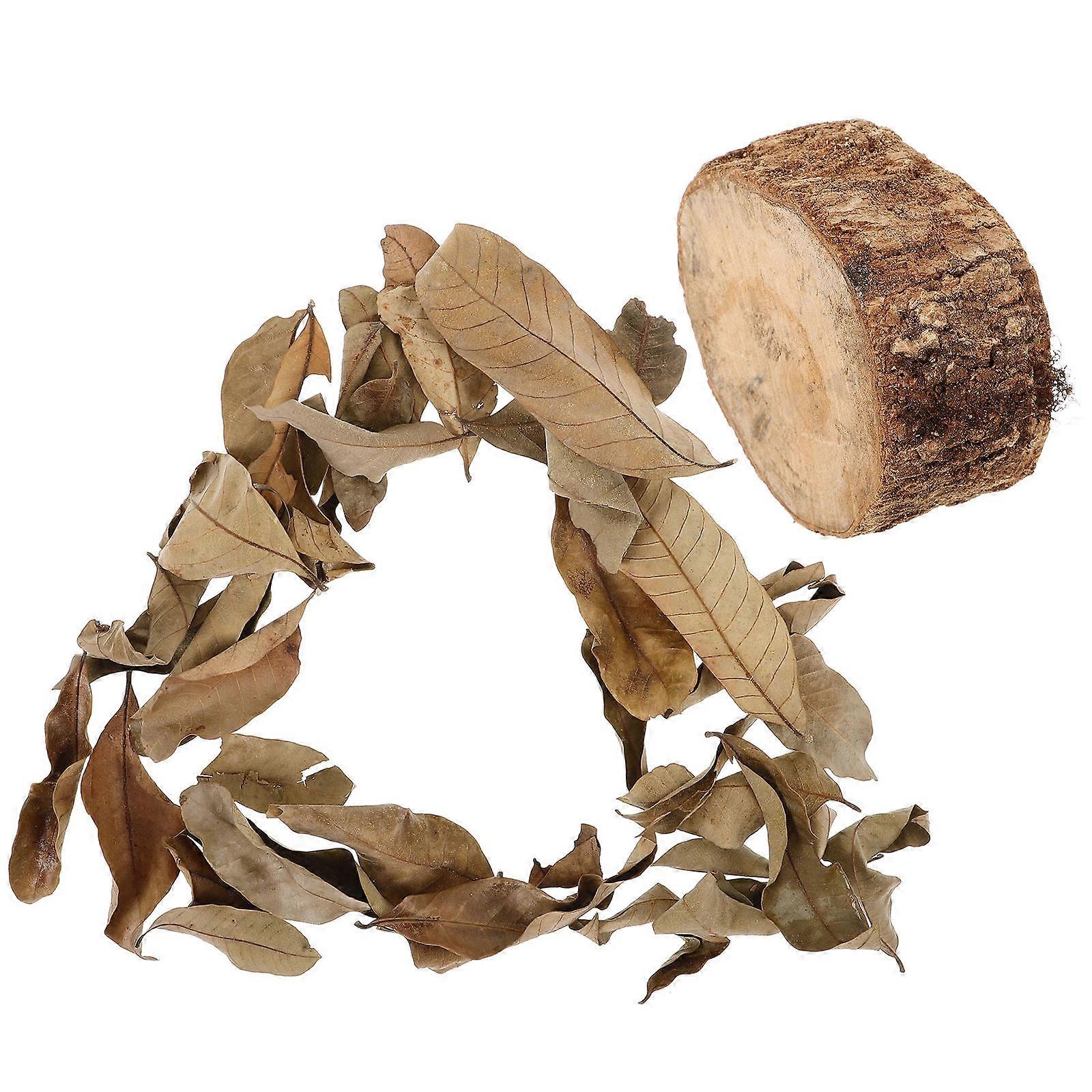 Stump Turtle Terrace Basking Platform for Turtle Tank with Dried Leaves