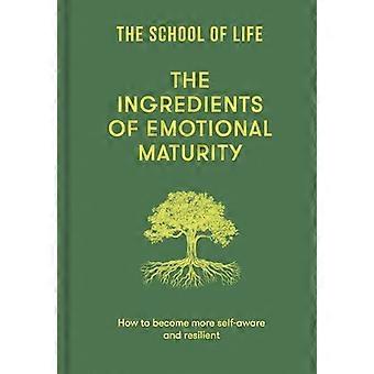 The Ingredients of Emotional Maturity How to become more self aware and resilient