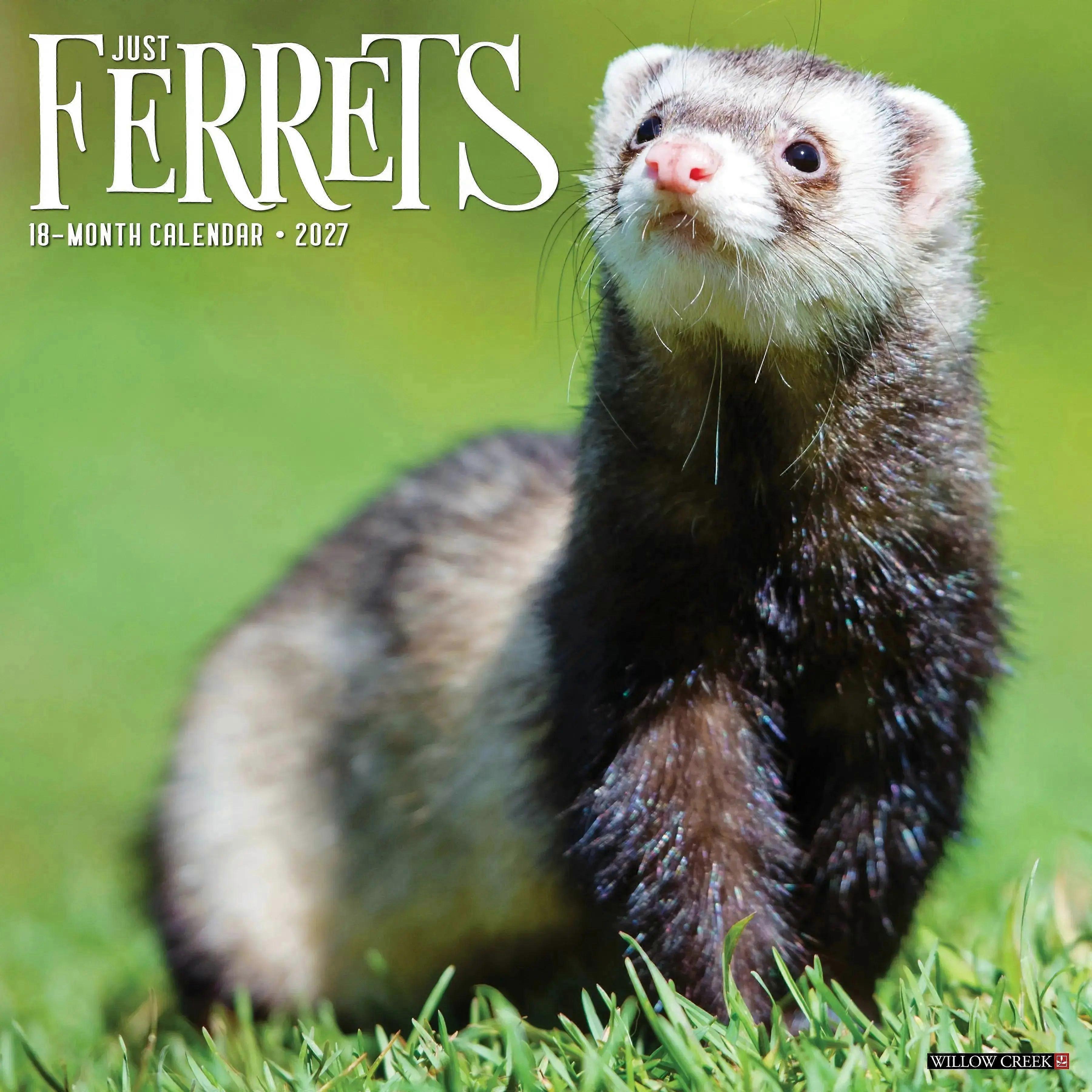 Avonside Ferret Calendar 2026