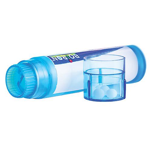 Spongia Tosta 30 Ch, 80 Count by Boiron (Pack of 2)