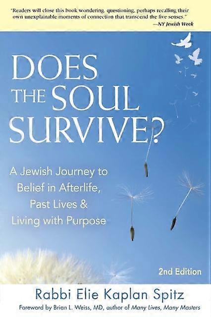 Does The Soul Survive 2nd Edition by Rabbi Elie Kaplan Spitz Hardback Book