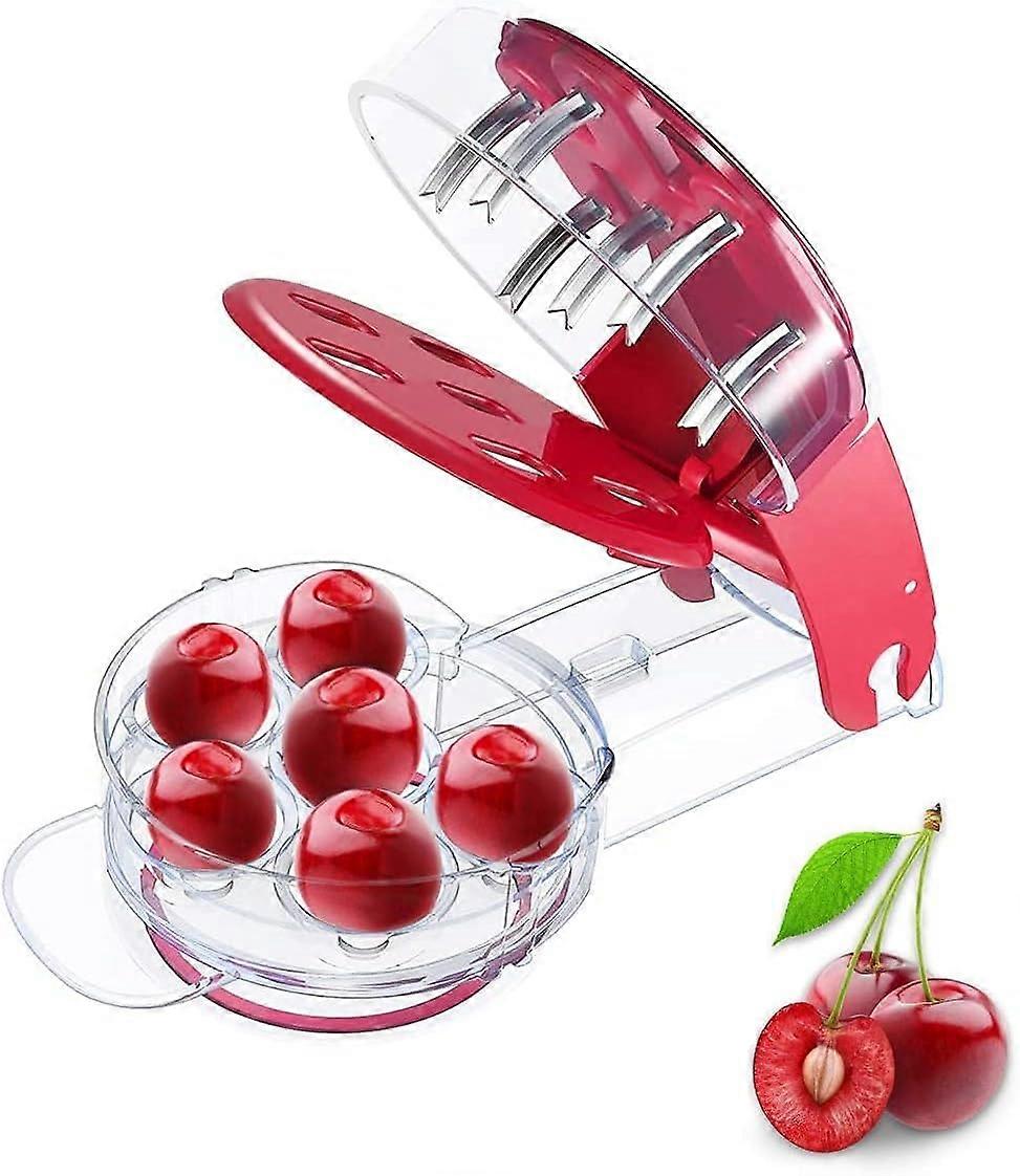 Cherry and Olive Pitter - Fruit Pit Remover 1 Pitter