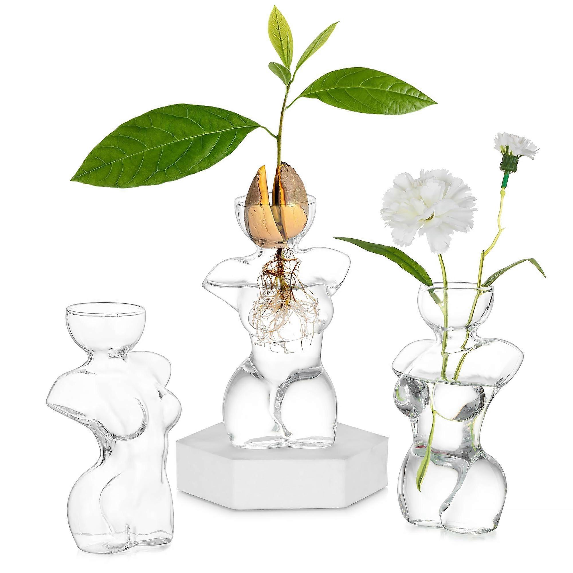 Transparent Vase Set of 3 for Home Decor Table - Clear Glass, Modern Design, Various Sizes