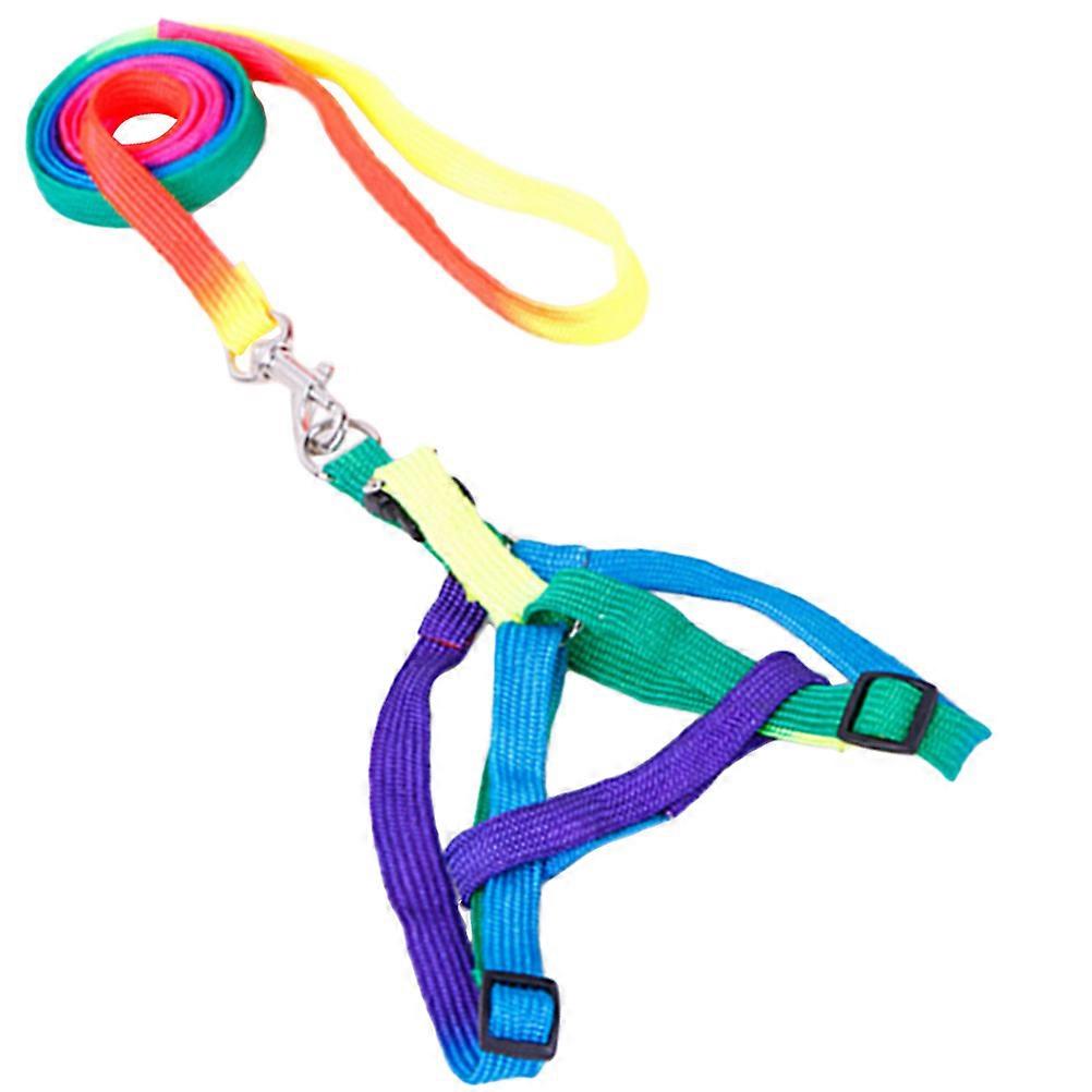 Small Dog Harness with Adjustable Strap, Great for Leisure and Play