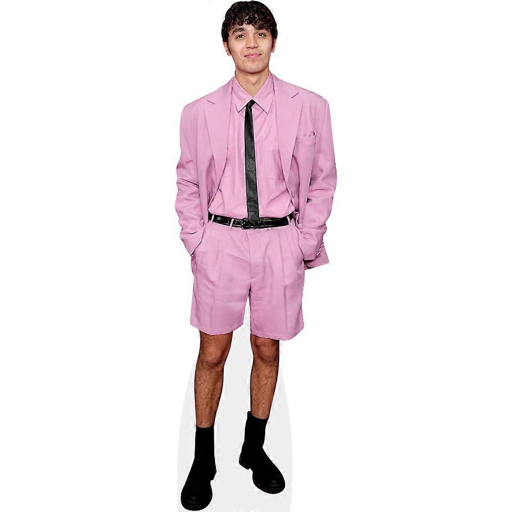 David Iacono (Pink Suit) Cardboard Cutout (lifesize OR mini size). Standee. Stand Up.