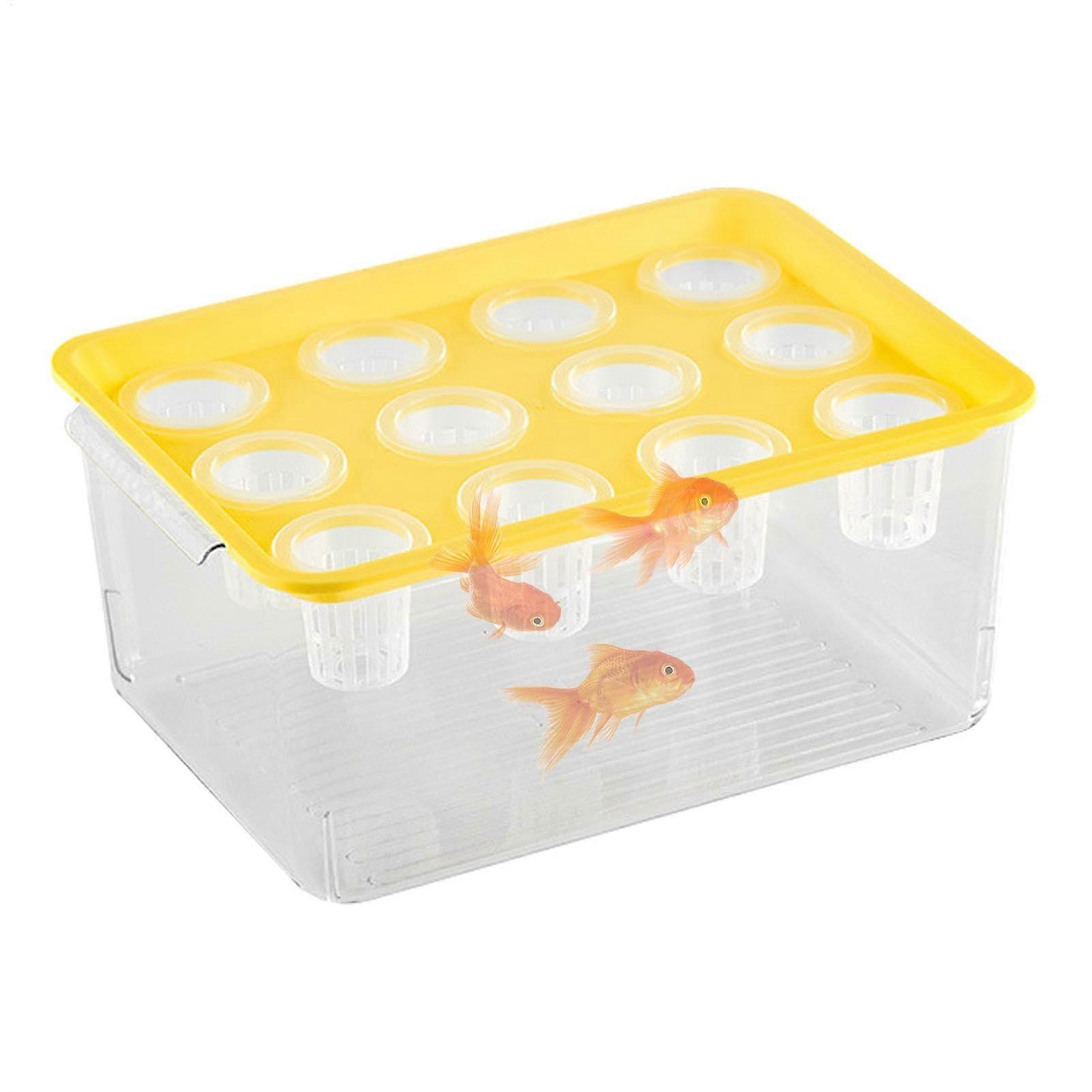 Aquaponic Planter and Aquarium for Fish, Desktop Fish Tank Promotes Healthy Hydroponic