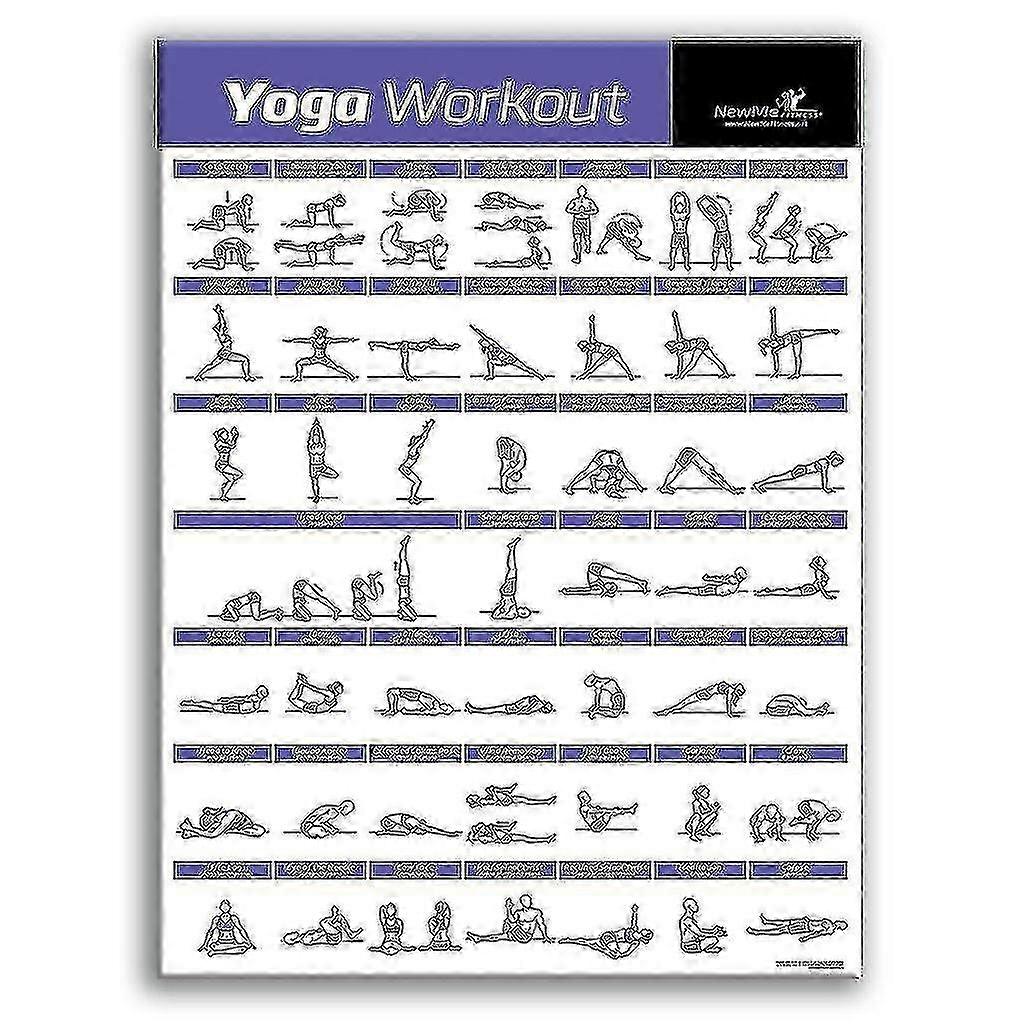 Learning Dumbbell Workout Exercise Poster Laminated Free Weight Body Building 2025