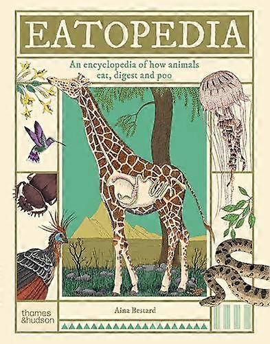 Eatopedia - Aina Bestard
