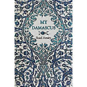 Mitt Damaskus