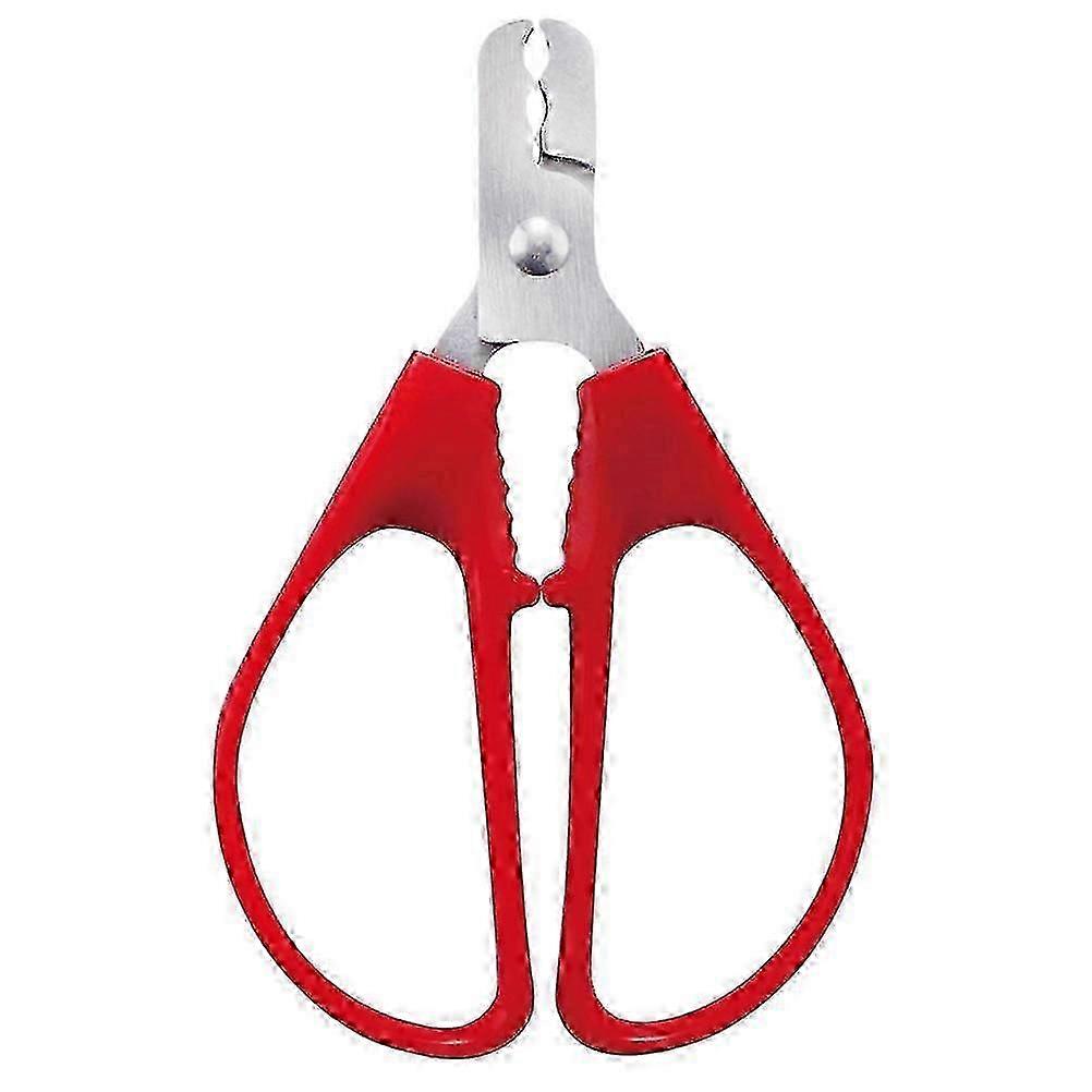 Stainless Steel Nut Sheller Tool - Ideal for Peanuts & Pine Nuts-fklm