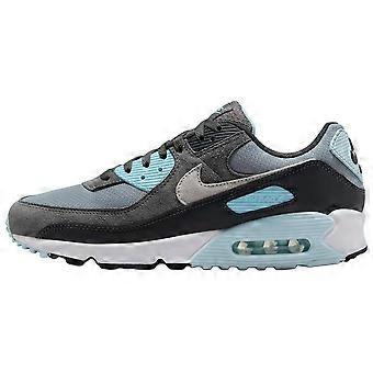 Nike Air Max 90 'Grey Glacier Blue' DM0029-009