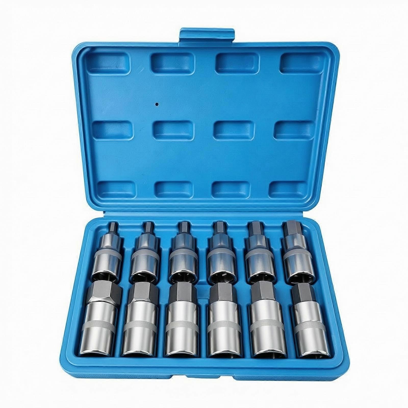 12 Pieces Hex Socket Set with Storage Container Heavy Duty Hardware Mirror