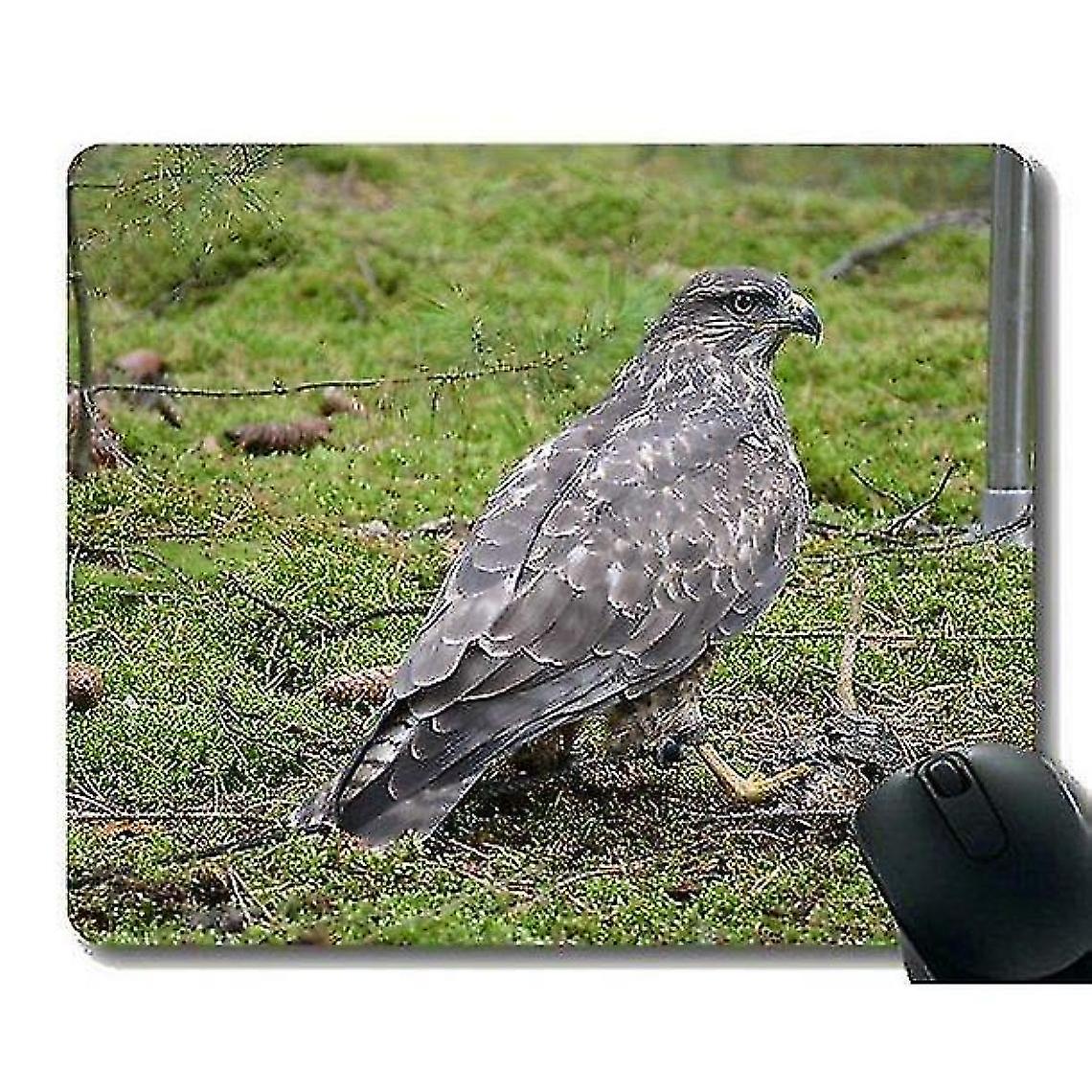 (220x180x3) Custom Mouse Pads, Flying Bird Mouse Pads