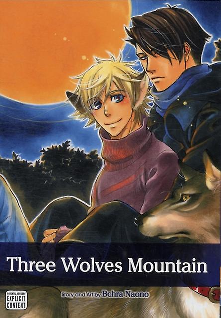 Three Wolves Mountain by Bohra Naono Paperback