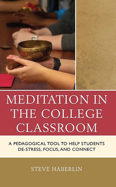 Meditation In The College Classroom by Steve Haberlin Paperback Book