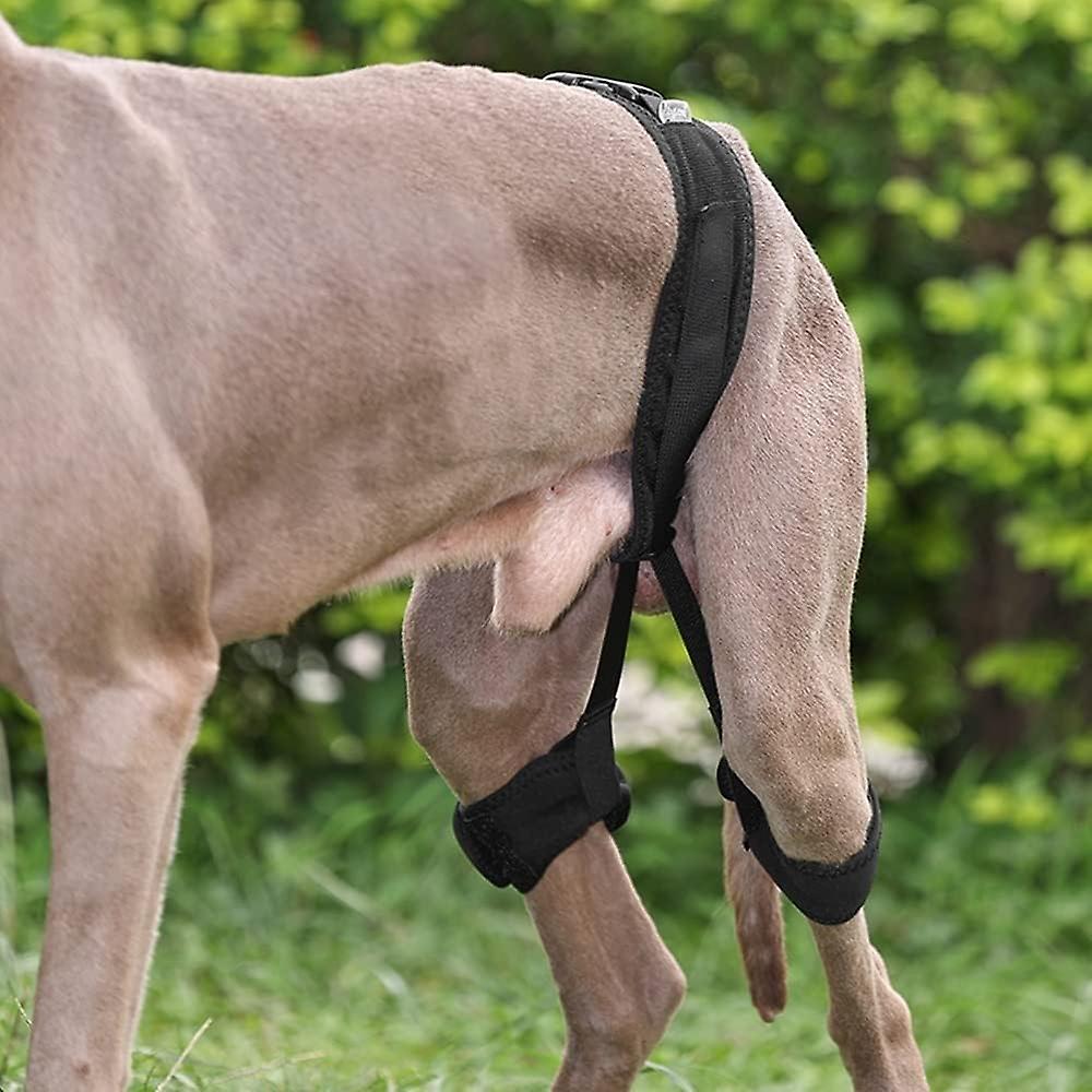 Dog Knee Brace Leg Braces, Dog Canine Knee Stifle Brace Wrap For Torn