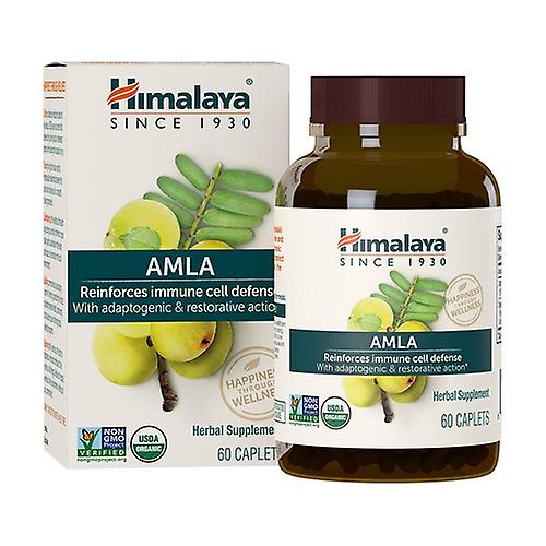 Amla organic with adaptogenic and restorative action 60 capsules