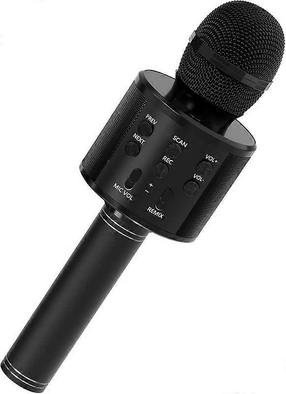 Karaoke Machine Handheld Microphone