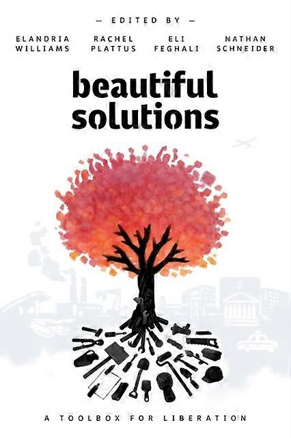 Beautiful Solutions Paperback Book