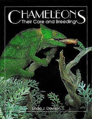 Chameleons