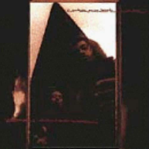 Channel Live Station Indentification CD