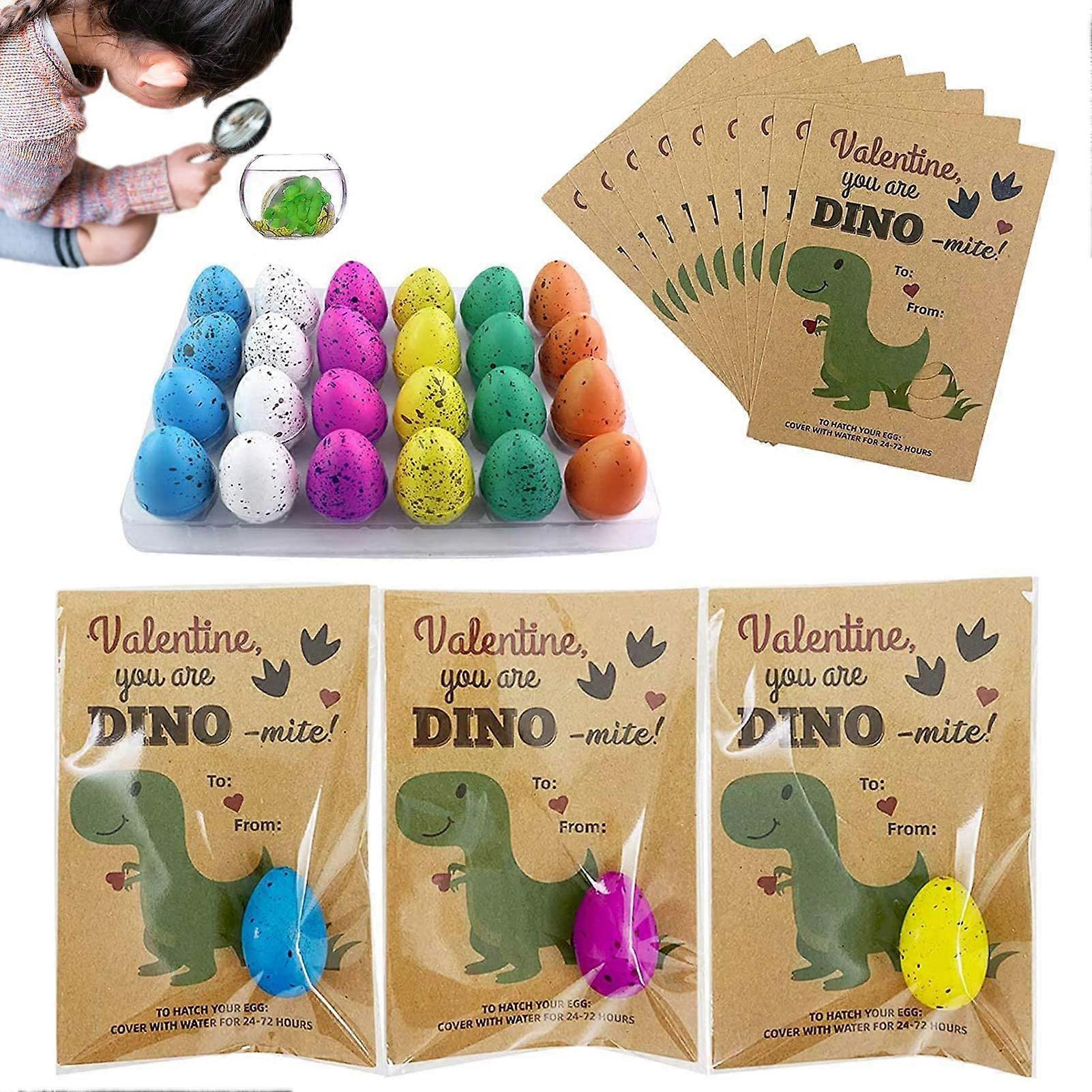 Dinosaur Hatching Eggs 24-Pack Water-Activated Growing Dinos Colorful Hatching Toys Set