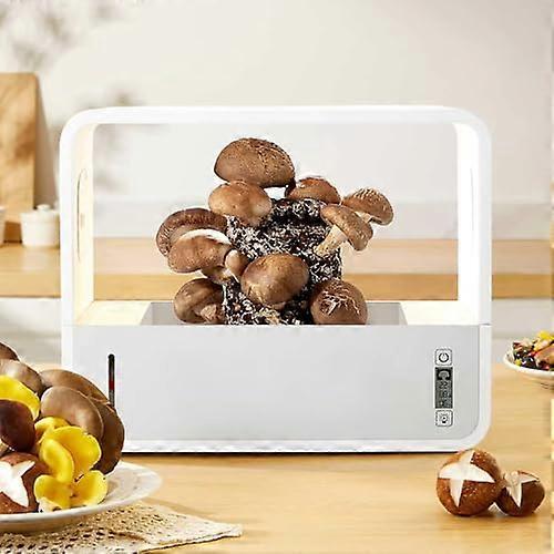 Automatic mushroom kit with adjustable climate, light for optimal growth, ideal for mycology