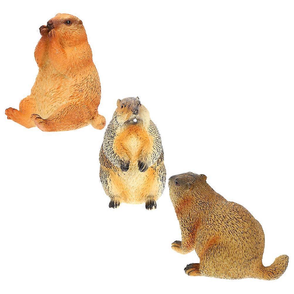 Realistic Groundhog Figurine Educational Simulation Model 9Pcs