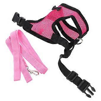 Chicken Harness Wearable Chicken Harness with Leash 3Pcs for Outdoor Use