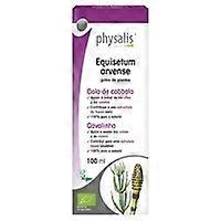Horsetail Extract (Equisetum) Bio 100 ml