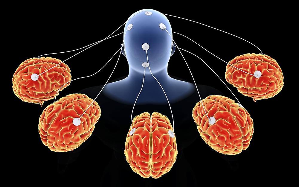 Conceptual image of multi-brain processing. Poster