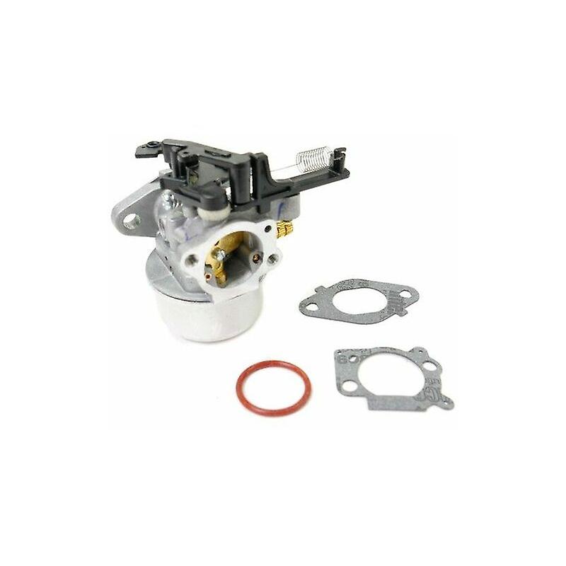 Briggs & Stratton engine carburetor hwy