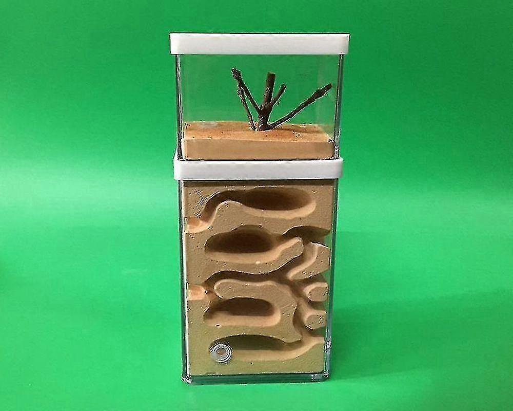 Natural Ecological Nest Insect Castle Workshop Farm Anthill Plaster