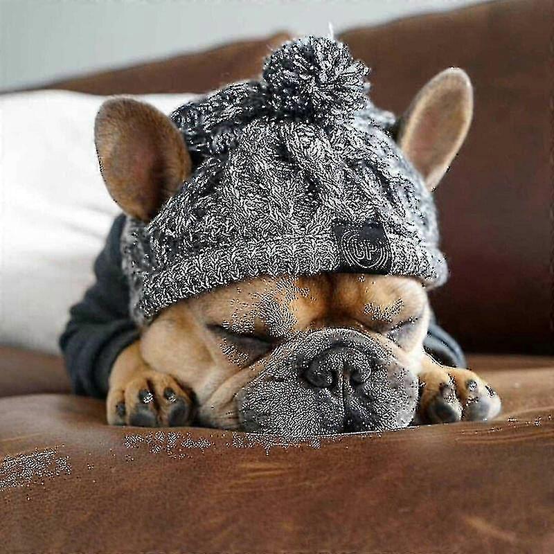 Kış Evcil Hayvan Köpek Şapkası Fransız Bulldog Açık Köpek Sıcak Ve Rüzgar Geçirmez Pet Şapka - 2023