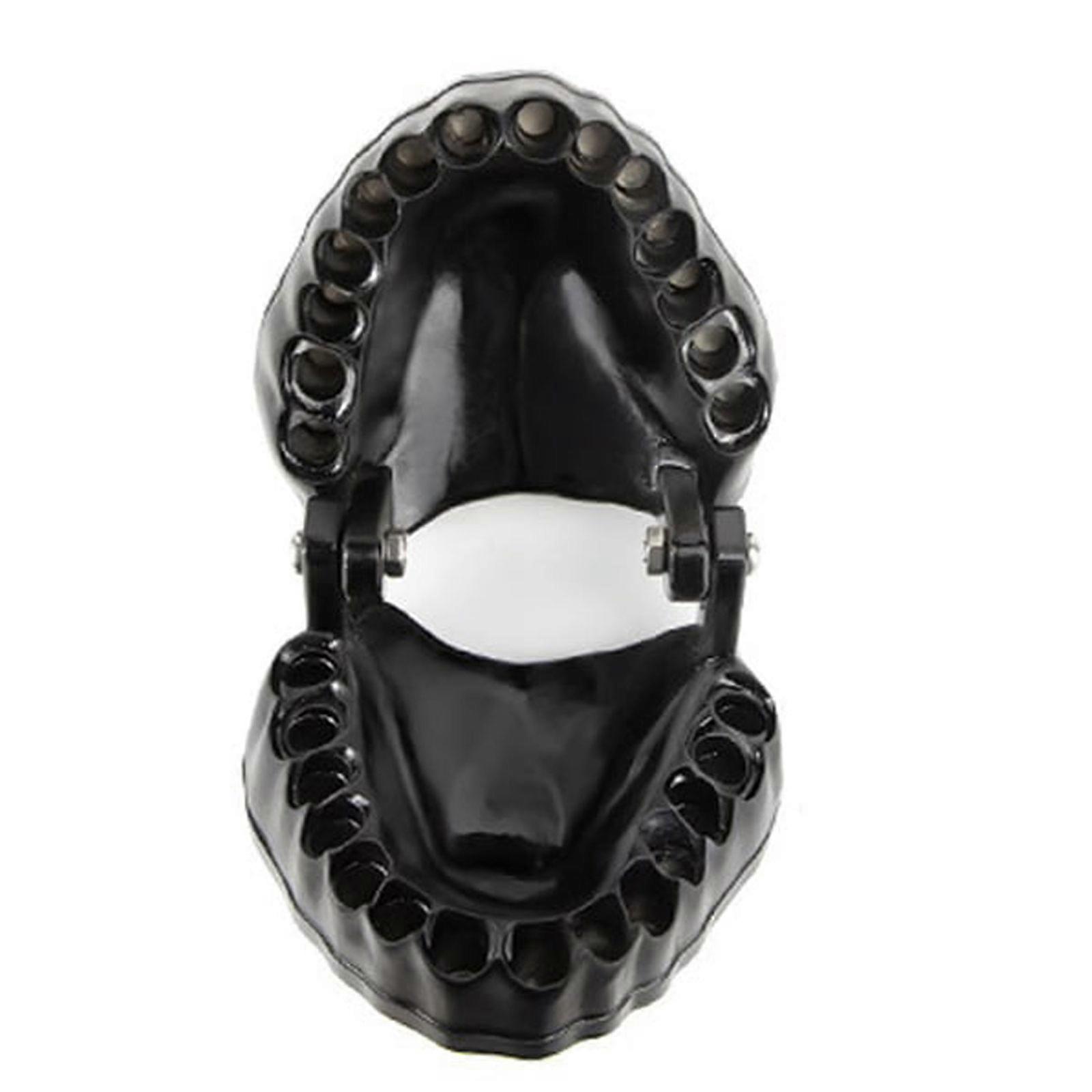 2023 Wholesale Denture Drill Bit Holder with Magnets,Funny Teeth Model Design,Screwdriver Bit Organizing Holder