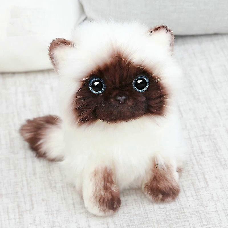Simulation Siamese Cat Plush Toy Blue Sequins Eyes Cat Plush Doll Brown And White Face Ragdoll Plush Cat Home Decor Doll Toys